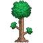Terraria